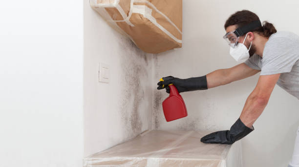 Attic Mold Remediation treatment on roof deck in Siler City