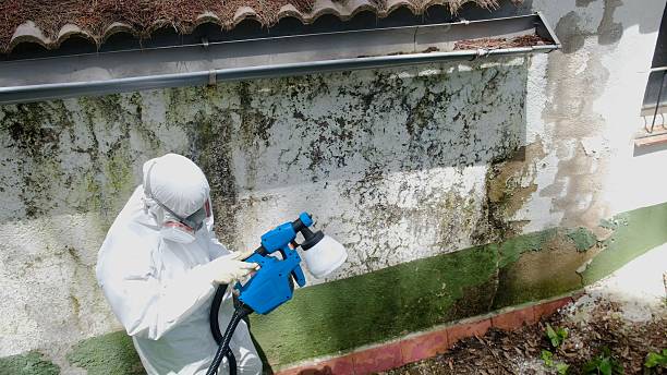 Mold Remediation service in Siler City, Siler City, NC